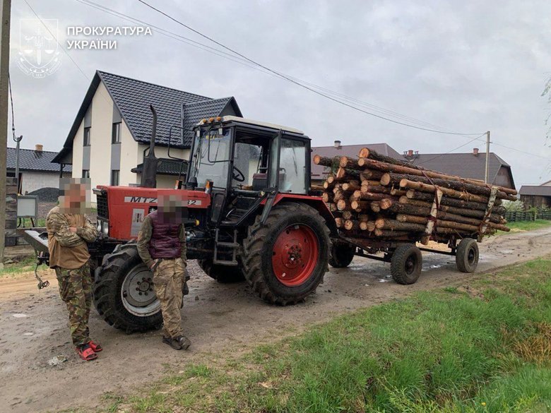 Правоохоронці повідомили про підозру 29 фігурантам справ про масштабні схеми у лісовій галузі