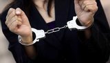 Суд заарештував жительку Харкова, яка обманом виманила у бізнесменів 33 млн грн