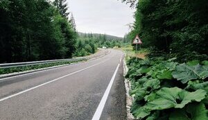 У Карпатах завершили ремонт моста, роботи на якому планували закінчити ще три роки тому. ФОТО