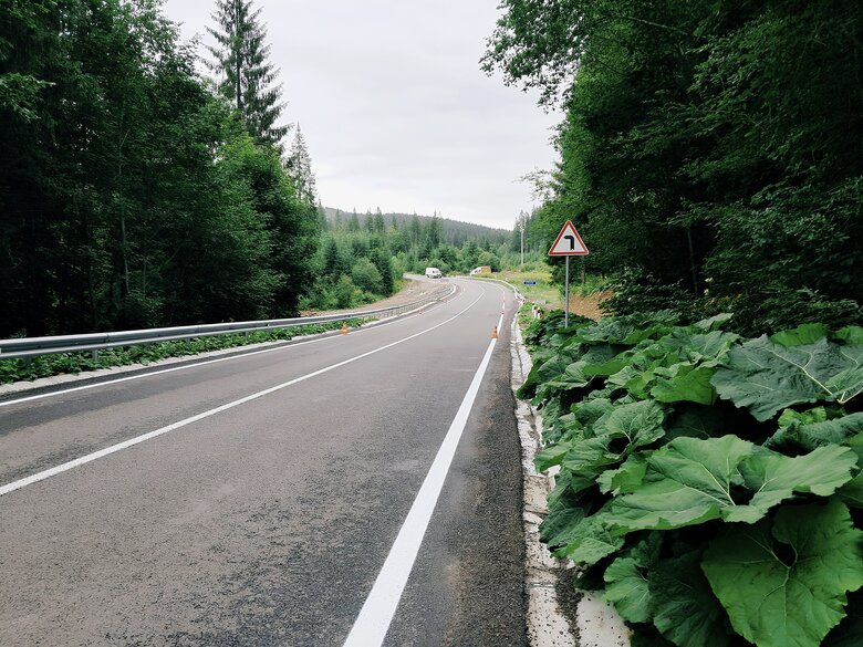 У Карпатах після трьох років перерви завершили ремонт моста