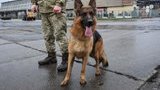 Пограничники задержали "полицейского "ДНР", намеревавшегося сбежать в Германию, - Госпогранслужба