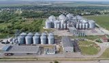 Сеть элеваторов "Укрлендфарминг" приняла полмиллиона тонн зерновых нового урожая