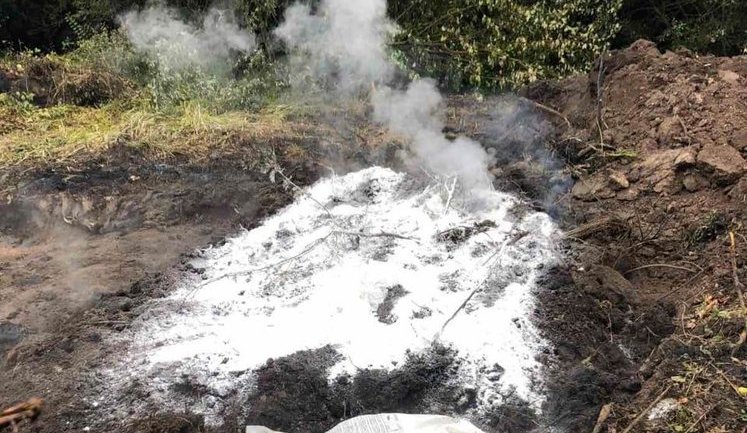 Спалах африканської чуми свиней розслідують на Харківщині, - Нацполіція. ФОТО