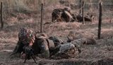 Військові навчання