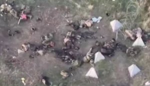 Forty bodies of eliminated occupiers lie along path on outskirts of Novotoretske. VIDEO 18+