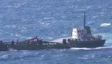 Российские суда разрушают крымские заповедники: это нужно строителям из олимпийского городка в Сочи. + ВИДЕО.