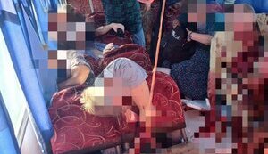 Occupiers shelled a bus carrying civilians in the suburbs of Kherson: two killed and 16 wounded. PHOTO