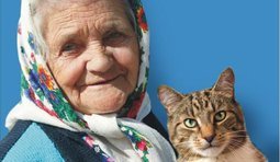 Взнала, що внук голосував за "регіони" - переписала хату на кота.