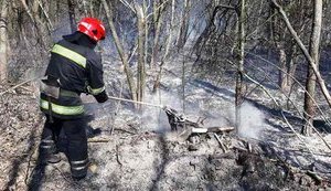 Пропоную парламенту подумати про введення кримінальної відповідальності за спалювання сухої трави, - Зеленський