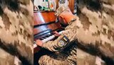 воїн,музикант