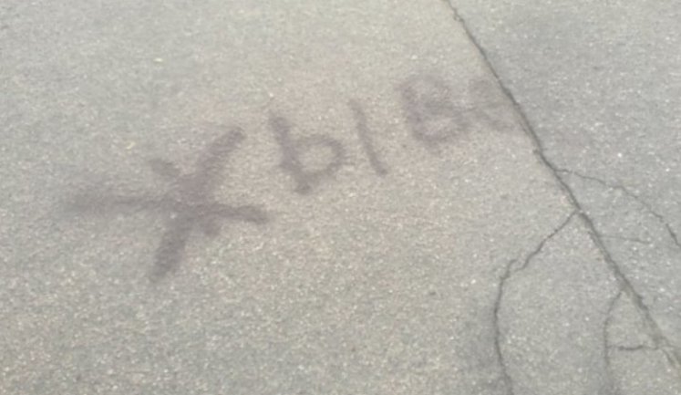 13-річну школярку в Мінську забрали в міліцію за напис "Жыве" на асфальті. ФОТОрепортаж