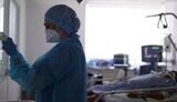 Лихоманка Західного Нілу в Києві