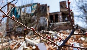 харківщина,рогань