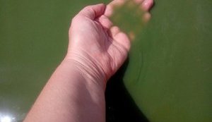 7-летняя девочка погибла в техническом водоеме в Харьковской области, - ГСЧС
