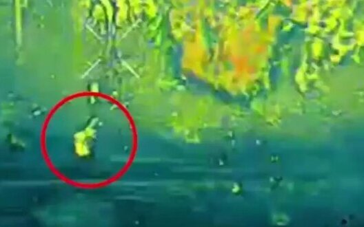 Russian assault troops scatter in all directions after drops by Ukrainian UAV. VIDEO