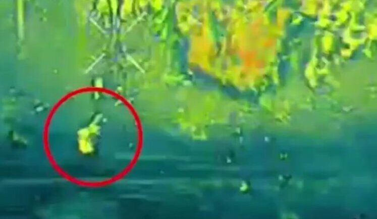Russian assault troops scatter in all directions after drops by Ukrainian UAV. VIDEO