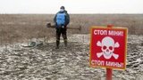 70 тис. вибухонебезпечних предметів знешкодили піротехніки ДСНС від початку проведення ООС, - штаб. ФОТО
