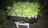 Деятельность нарколаборатории прекращена в Полтавской области, - СБУ. ВИДЕО