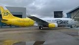 airline,bees