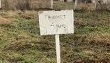 рашист