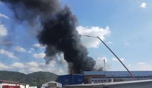 пожежа на заводі у Словаччині