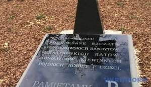 Відновлення меморіалів УПА: в Інституті нацпам'яті Польщі назвали умови