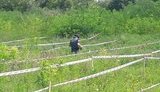 майорское,гсчс,пиротехники