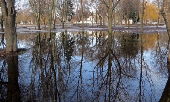 У Запоріжжі через різке потепління підтопило парки і сквери 02 У Запоріжжі через різке потепління підтопило парки і сквери 02