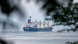 зерновий
