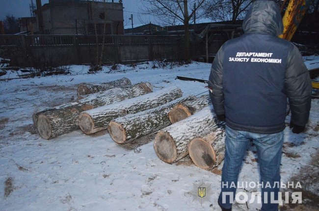 Поліція на Чернігівщині затримала групу чорних лісорубів 02