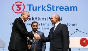 Erdogan, Putin launch TurkStream Pipeline