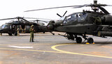 hawk,black,apache