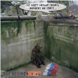 Судьба мишки