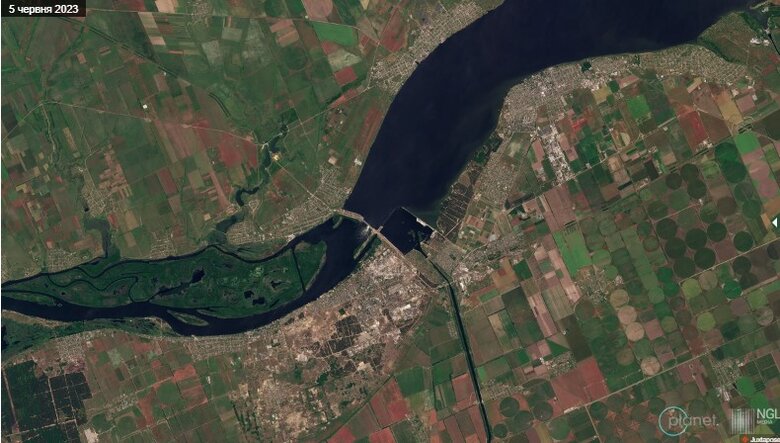 Ліси Херсонщини