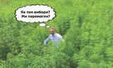 Мы уже победили?