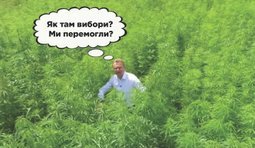 Мы уже победили?