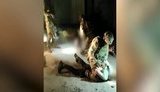 В Харькове задержали "активистов", которые занимались грабежами и под видом полицейских вымогали средства у наркозависимых. ВИДЕО+ФОТОрепортаж