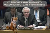Заседание Совбеза ООН. 125 серия.