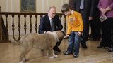 Путин устроил большой прием в честь своей новой собаки. ФОТОрепортаж