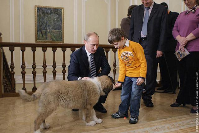 Цензор.НЕТ Изображение