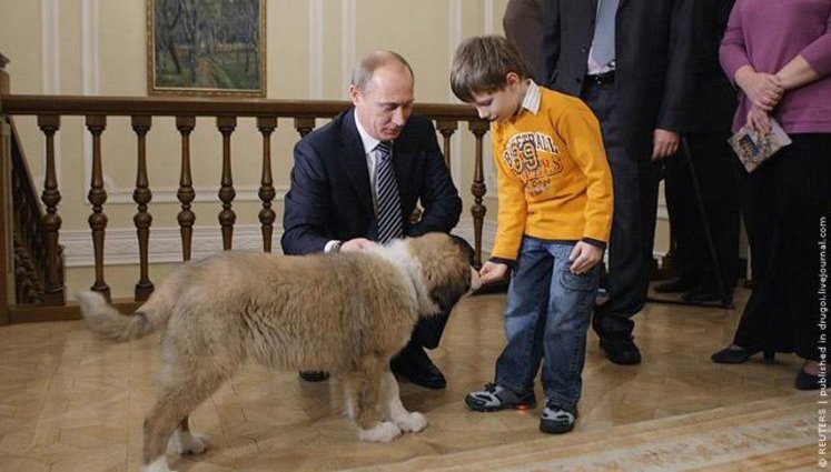 Путин устроил большой прием в честь своей новой собаки. ФОТОрепортаж