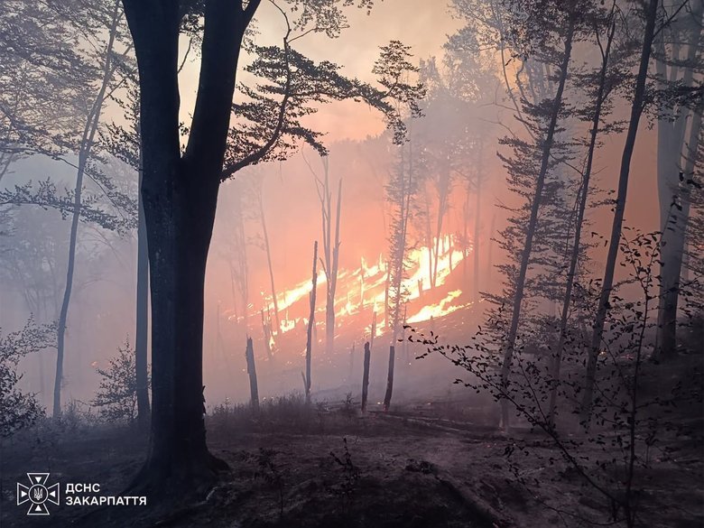 A 7-hectare forest fire is being extinguished in Zakarpattia