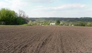 Moratorium on sale of farmlands must be lifted – Presidential Administration