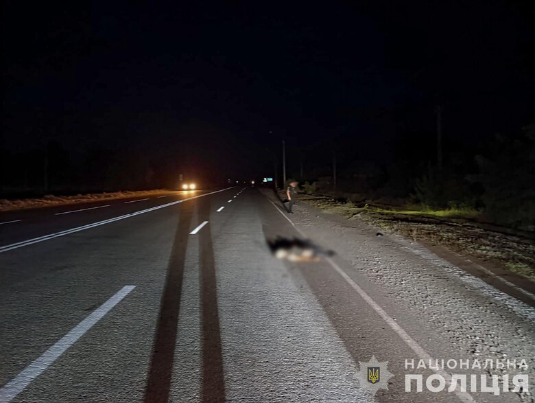 ДТП на Запоріжжі