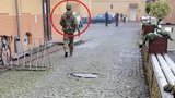 Голова Закарпатської ОДА Петров закликав СБУ провести брифінг щодо обшуків в угорському фонді, щоб не було "політичних інсинуацій"
