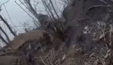 Occupier films moment he is blown up by "Lepestok" mine while attempting to assault Ukrainian positions: "F#ck, my leg’s been blown off, sh#t". VIDEO