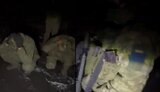 полонені