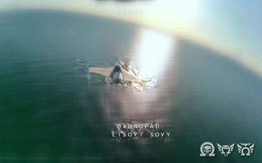 Спецпризначенці ЦСП "Омега" показали перехоплення російських БпЛА "Гербера" над водою. ВІДЕО