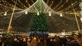 Открытие главной елки Украины на Софийской площади в Киеве. ВИДЕО+ФОТОрепортаж