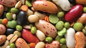 Украина за год увеличила экспорт бобовых на 64%